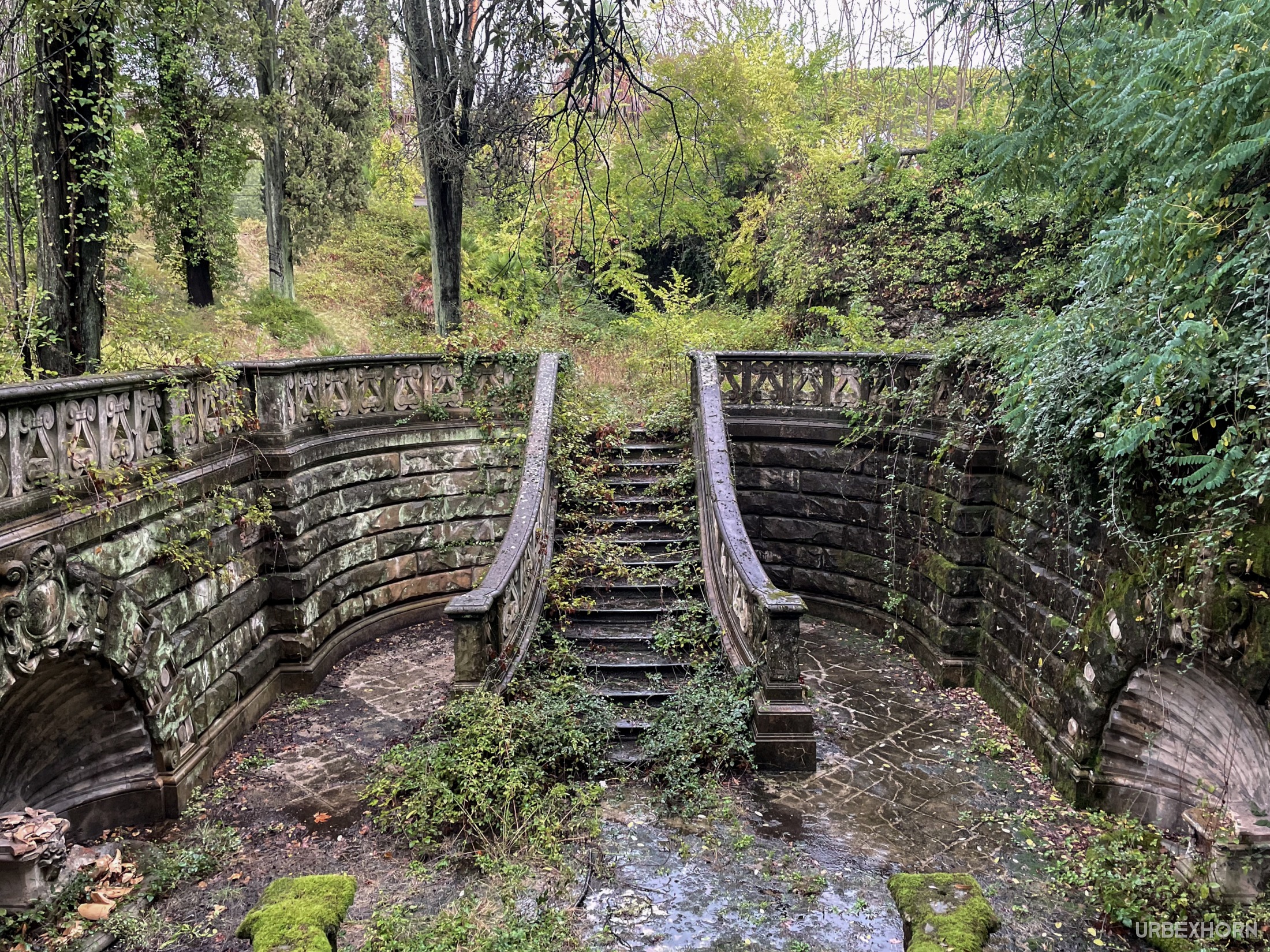 Anteprima di Free tickets