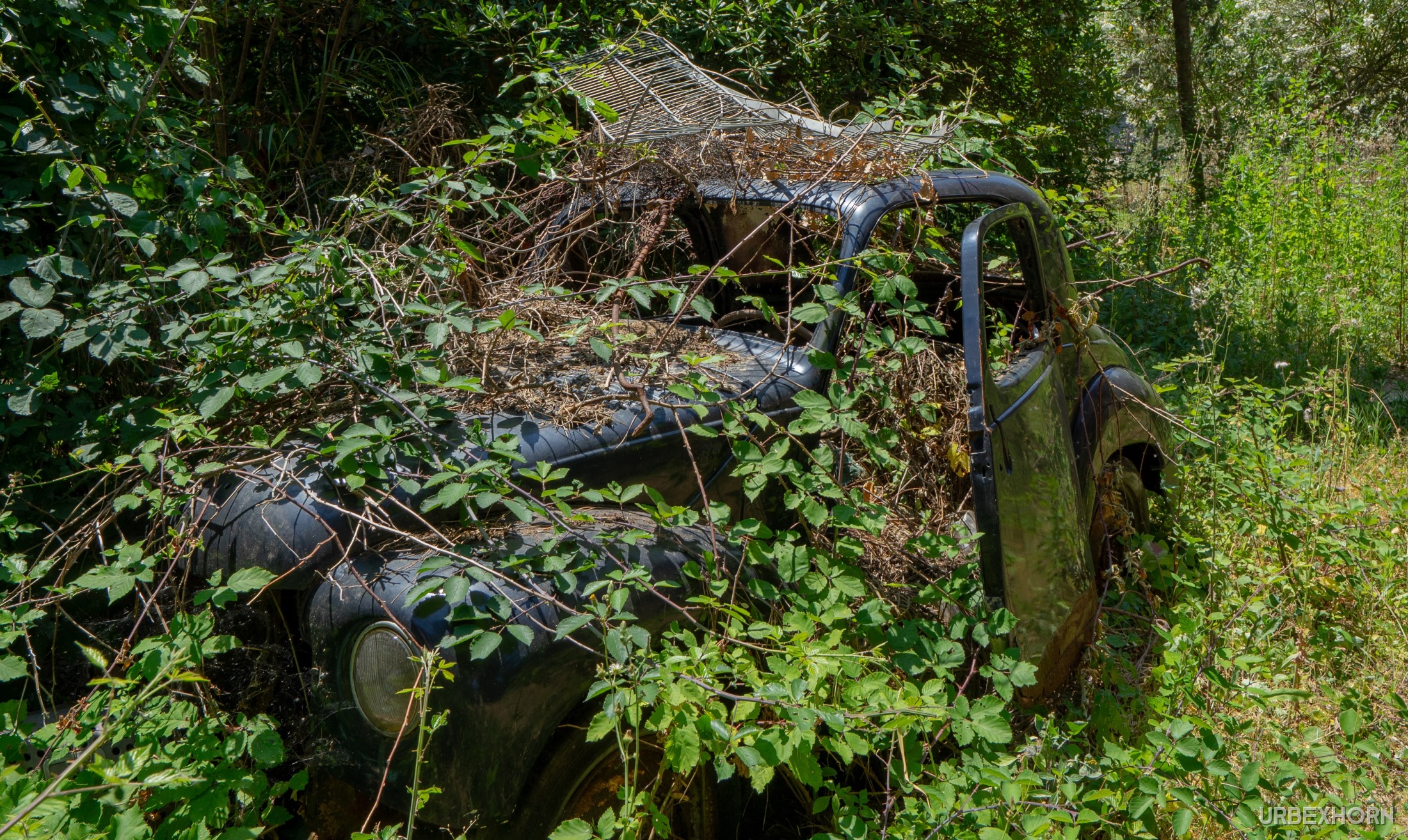 Anteprima di Free Parking