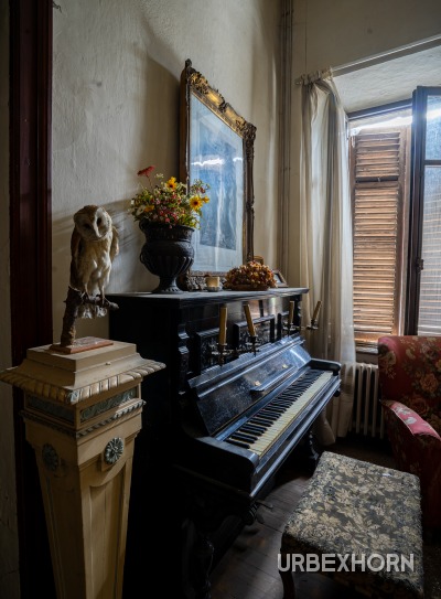 Foto 1 per The Barn Owl