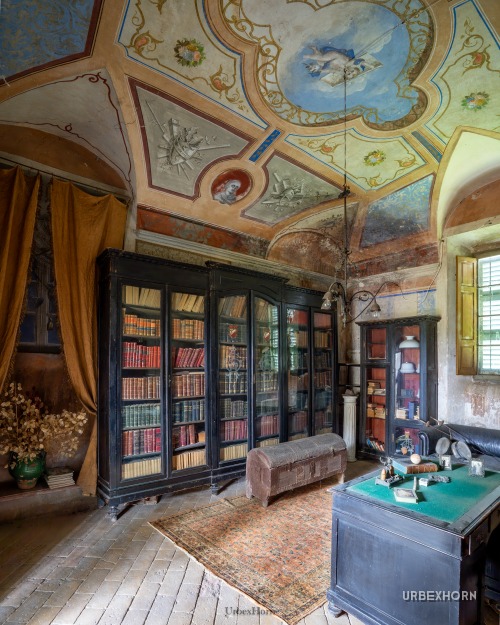 Foto 2 della galleria per Salve