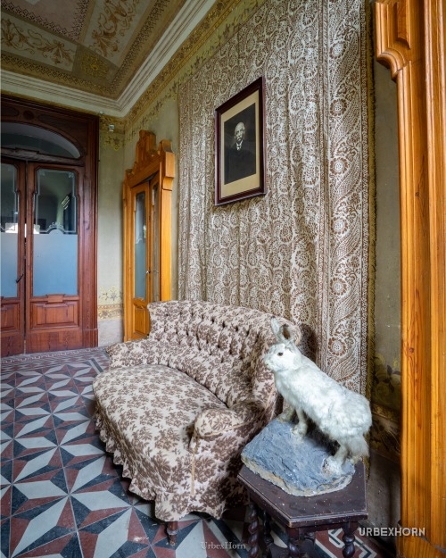 Foto 2 della galleria per Follow the White Rabbit