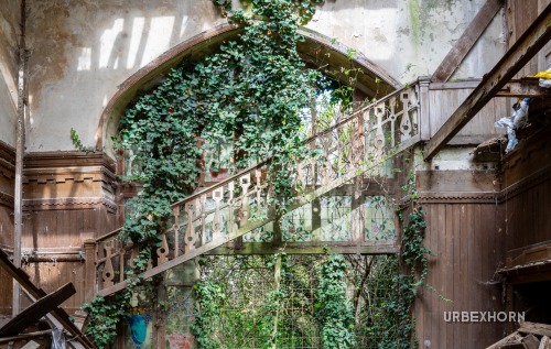 Foto 4 per Barone Rampante