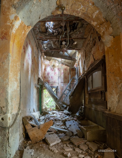 Foto 2 per Barone Rampante