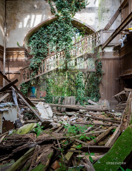 Foto 3 per Barone Rampante