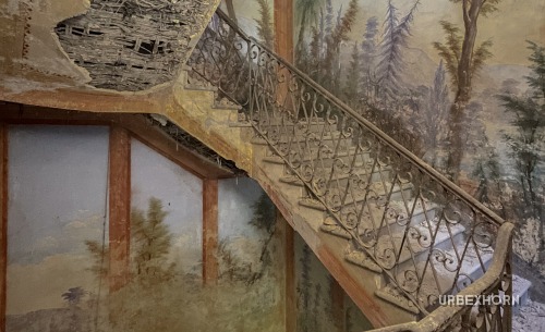 Foto 4 per Pine Forest