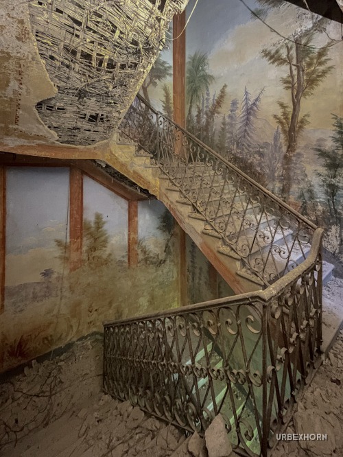 Foto 2 per Pine Forest