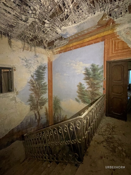 Foto 3 per Pine Forest