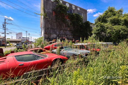 Foto 1 della galleria per The Japanese car dealer