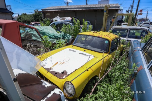 Foto 5 della galleria per The Japanese car dealer