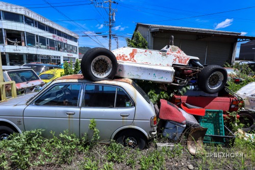 Foto 7 della galleria per The Japanese car dealer