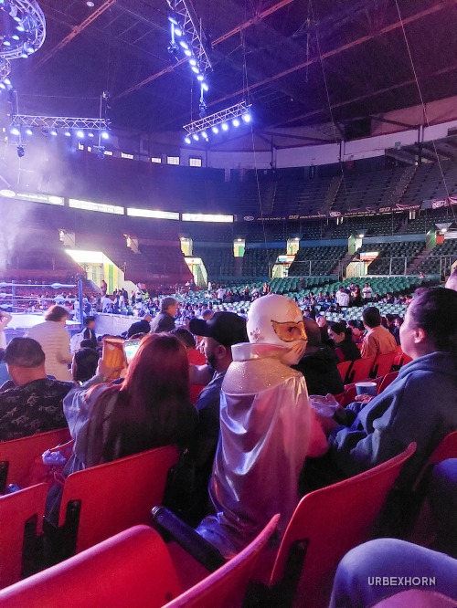 Foto 1 per In the Street of Mexico City