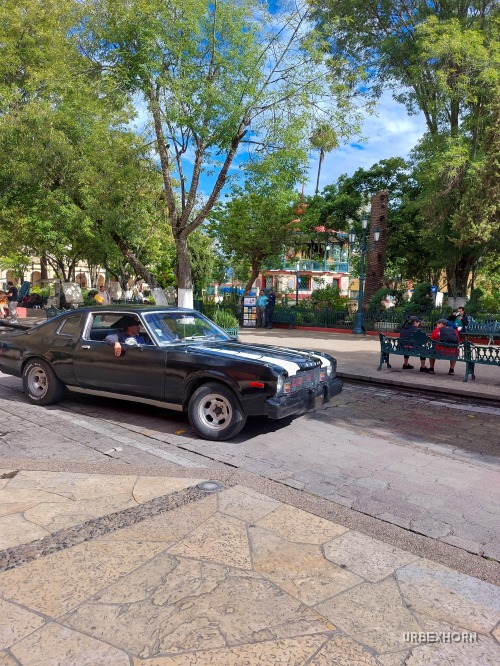 Foto 5 per Through Chiapas