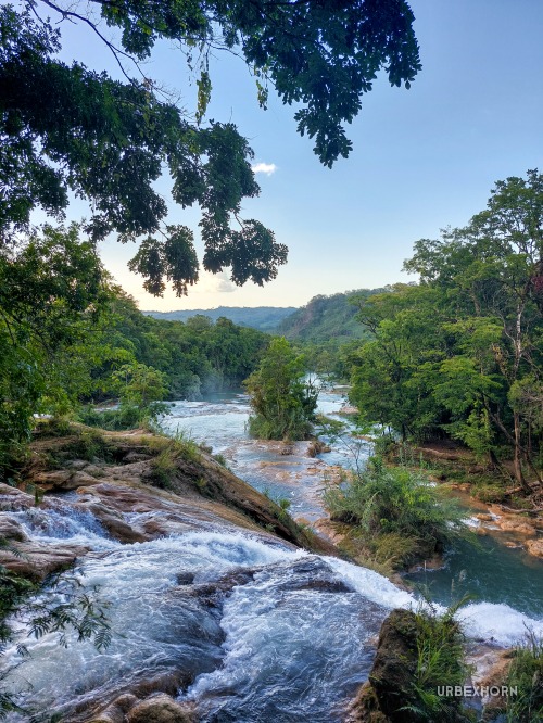 Foto 9 per Through Chiapas