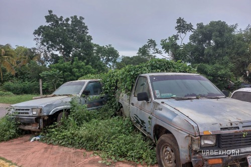 Foto 1 per The Mexican