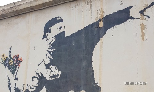 Foto 9 per Free Palestine