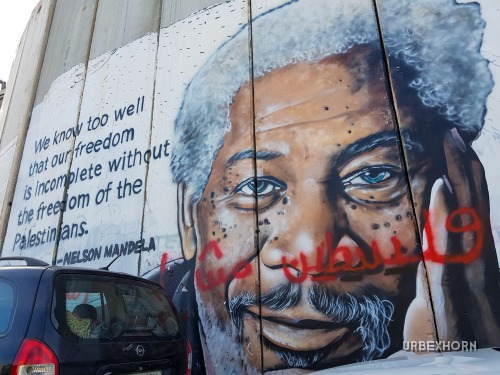 Foto 1 per Free Palestine