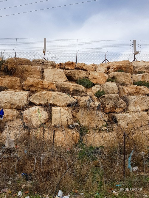 Foto 3 per Free Palestine