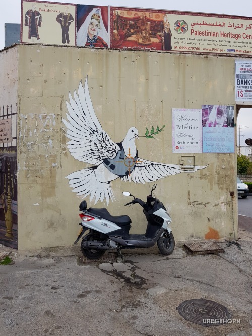 Foto 5 per Free Palestine