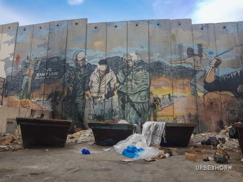 Foto 6 per Free Palestine