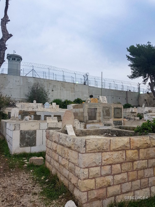 Foto 7 per Free Palestine