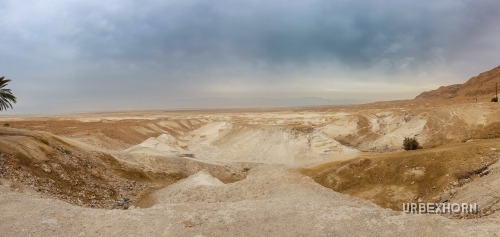 Foto 8 per Free Palestine