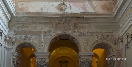 Foto 1 della galleria per COLVMBA PVPPIS INTER COLVMNAS