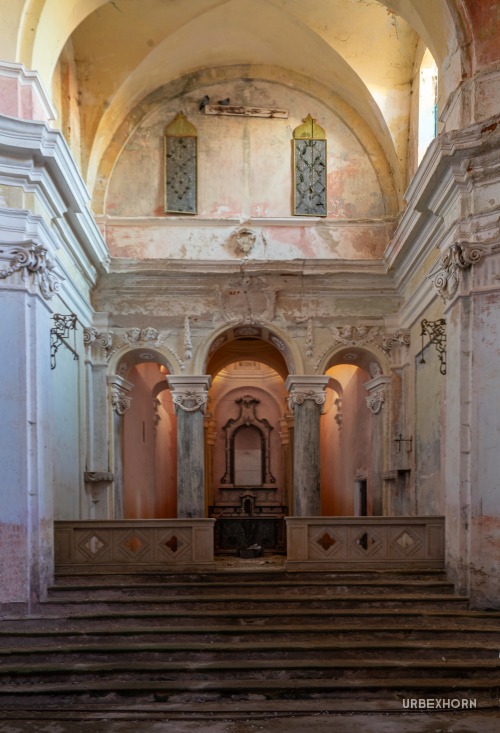 Foto 2 della galleria per COLVMBA PVPPIS INTER COLVMNAS