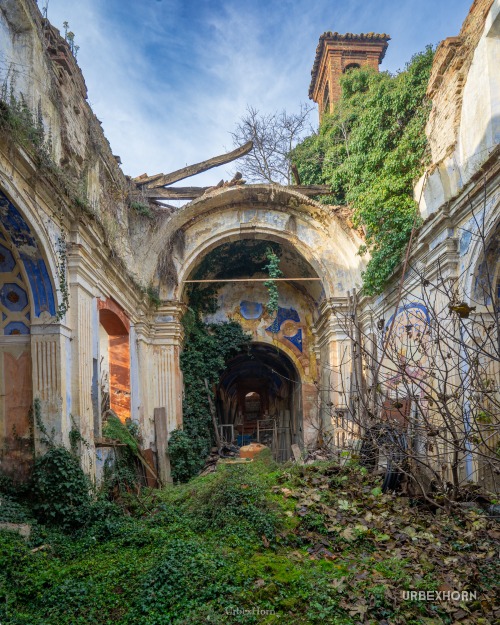 Foto 1 per The Green Cathedral