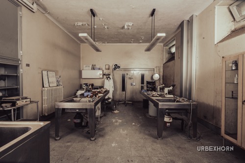 Foto 4 per The Final Check-up (No returns guaranteed)